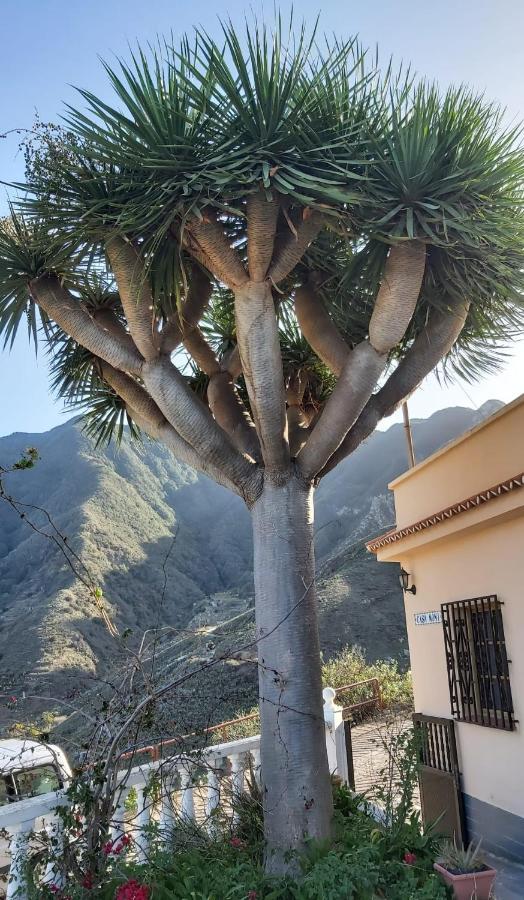 Villa Casa Noni à Santa-Cruz de Ténérife Extérieur photo